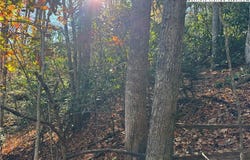 Hews Circle, Blowing Rock, NC 28605