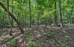 0 Pin Oak DR, Blue Ridge, VA 24064