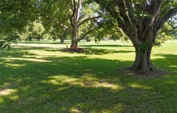 553 Davis Lake Rd., Columbia, LA 71418