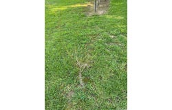 Lee Ave, Conway, AR 72034