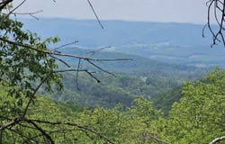 1891 Jack Mountain Road, Monterey, VA 24465