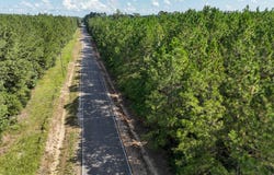 1 State Road 3205, Oakdale, LA 71463