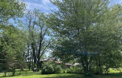 314 YELLOW PINE CIRCLE, CADILLAC, MI 49601