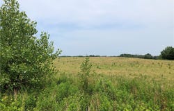 00 Co Rt 53 - Lot #3, Scriba, NY 13126