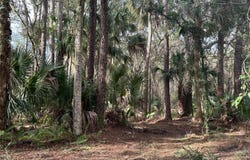 LAKE HARNEY RD, GENEVA, FL 32732