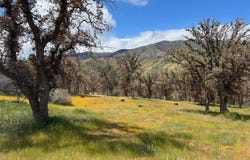 0 School St, Lot 4, Caliente, CA 93518