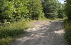 1454 Crane Lane, Woodhull, NY 14801