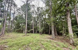 W Highway 32, Licking, MO 65542