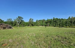 0 Willow Creek Dr, Palestine, TX 75801