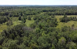 25 Acres Highway 80, New Lisbon, WI 53950