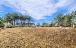1031 CHANCELLORS FERRY LOOP, HARPERSVILLE, AL 35078