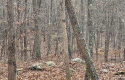 Morgan Court, Lords Valley, PA 18428