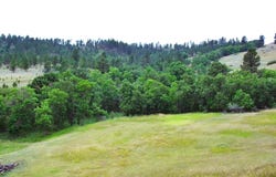 E15 Soaring Eagle Road, Hulett, WY 82720