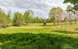 Hill Loop Rd., Floyd, AR 72136-0000
