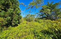 37TH AVE, Kurtistown, HI 96760