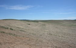 11 Golden Wheat Lane, Pullman, WA 99163-9704