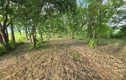 Minnesota State Highway 28, Glenwood, MN 56334