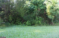 V/L 504 Holm, St. Marys, GA 31558