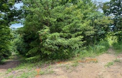 00 Coal Branch Road, Beattyville, KY 41311