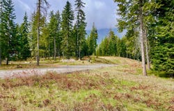 Nhn Big Fir Drive, Thompson Falls, MT 59873