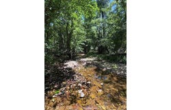 1500 Squirrel Hill Road, Salem, AR 72539