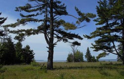 16167 US Highway 2, Cooks, MI 49817
