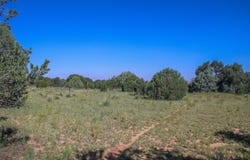 8 Reload, Tijeras, NM 87059