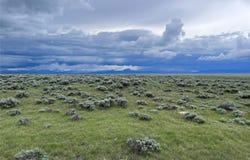 Tract 35 Monte Drive, Wisdom, MT 59761