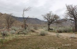Highway 178, Onyx, CA 93255