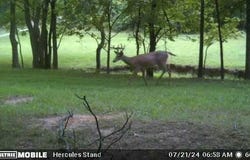 1599 Locust Fork Road, Stamping Ground, KY 40379