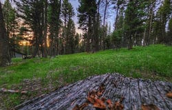 289 Seclusion Point, Seeley Lake, MT 59868