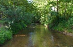 Trk 1 Woodland Lane, Dahlonega, GA 30533