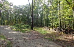 Parcel A 109th Avenue, Pullman, MI 49450