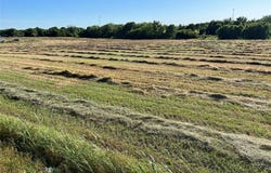 Tbd 12 W Audie Murphy Parkway, Farmersville, TX 75442