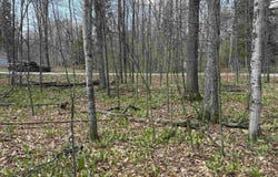 0000 E Sugar Maple Drive, Cedar, MI 49621