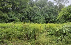 169 Route, Woodstock, CT 06281