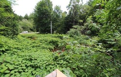 475 County Route 11, West Monroe, NY 13167