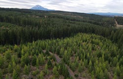 4 Conboy Heights, White Salmon, WA 98672