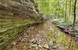 340 Robin  LN, Powell, MO 65730