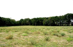 1074 Midway Odom Road, Forest, MS 39074