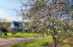 953 Co Hwy 8, Westport, NY 12993