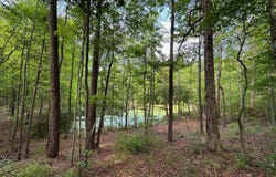 6643 County Road 630, Shubuta, MS 39360