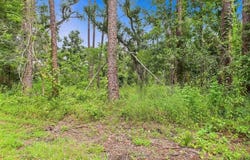 N VETERANS Drive, Perry, FL 32348