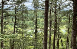 0 Woods Road, Melbourne, AR 72556