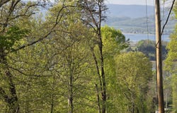 29+acres BOATMANS MOUNTAIN, Morristown, TN 37814