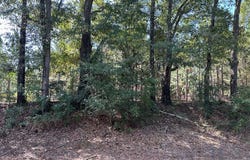 5 +-ac Cty Rd 18 (Lot 1), Headland, AL 36345