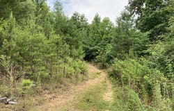 O Orme Mountain Road, South Pittsburg, TN 37380