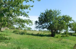 Tbd Fm 936, Hubbard, TX 76648
