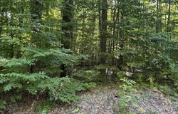 Lot 41 Heideldorf Lane, Bellaire, MI 49615