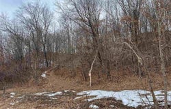 Hwy 82, Union, WI 54639